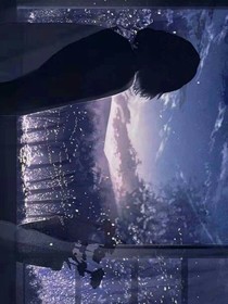 凹凸：星辰陨落