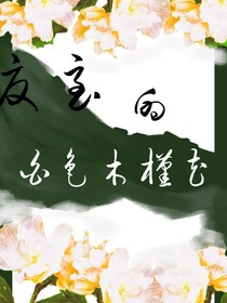 夏至的白色木槿花