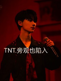 TNT旁观也陷入