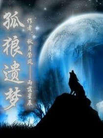 孤狼遗梦