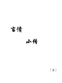 言情小传