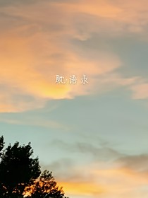 dm：小說語錄