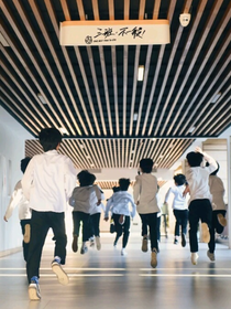 TF家族and师兄