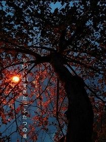 冤家：你给我回来