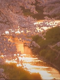 一笺烟雨，半帘幽梦