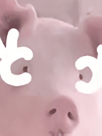重生：在宮里當(dāng)傻子