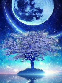 陈清元的美图小屋