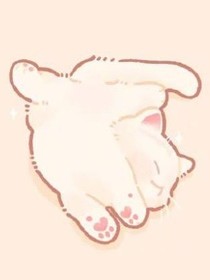 喵？我怎么变成猫了