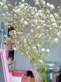 青春的恋