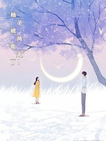 柚子被风吹走了