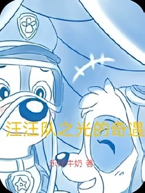 汪汪队之光的奇遇