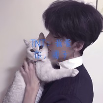 TNT：我爱你，团子
