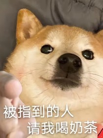 关于琉璃的乱七八糟的拉郎