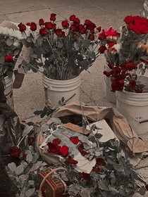 血色野瑰