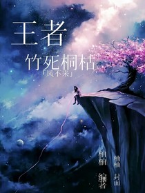 王者中的250個(gè)故事