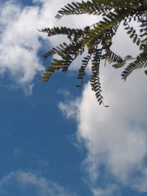 时空（轮回）