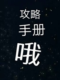 攻略手冊哦