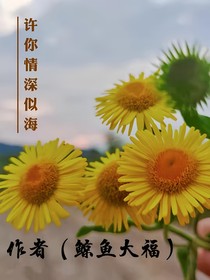 还你情深似海