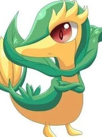 青石之日