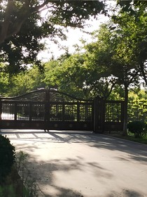 狗血虐恋短篇集