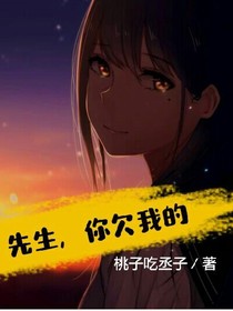 先生，你欠我的