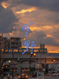 曠野