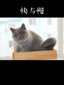 快與慢
