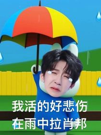 TNT：普吉岛与红玫瑰