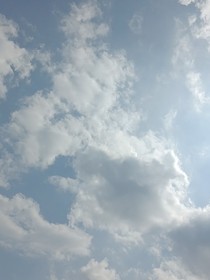 贪图