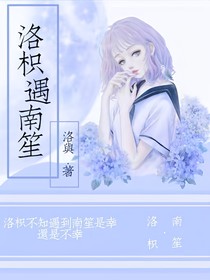 洛枳遇南笙