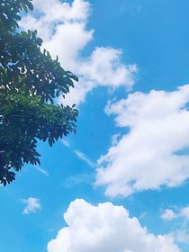 匆匆忙忙的那些年