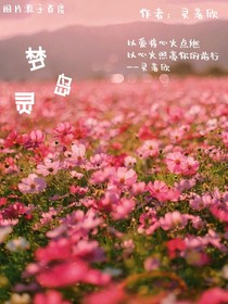 梦灵岛