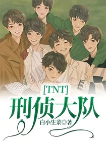 TNT：刑侦大队