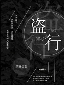 盗行——命