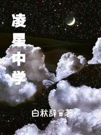 凌星中学