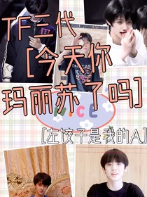 TF三代：今天你玛丽苏了吗？