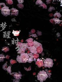 夢醒時分：歲月穿行