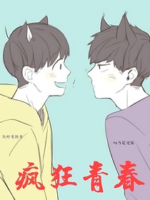 同人：疯狂青春