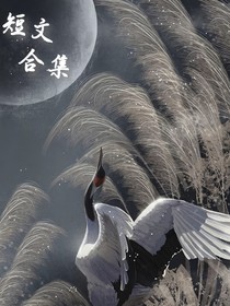 小短文（各种风格都会尝试的）