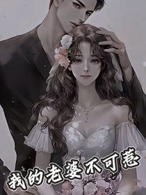 我的老婆不可惹