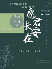 愿君长安在