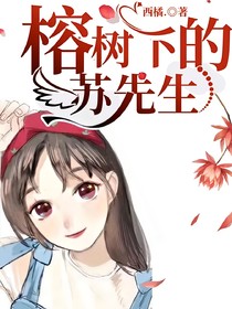 榕樹下的蘇先生