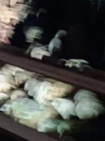 扬帆船