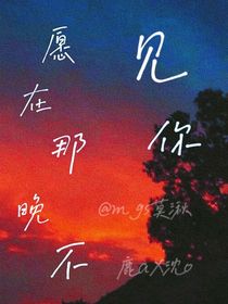 愿在那晚不见你