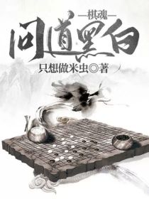 棋魂：问道黑白