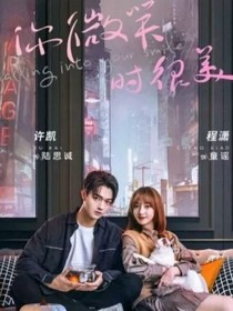 你微笑時很美（CP版）