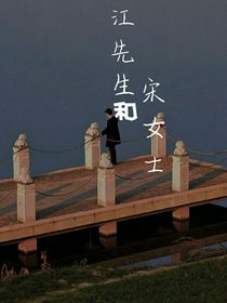 顾先生和宋女士