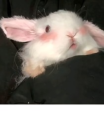 下苦