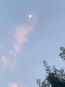你逃他追，我們都插翅難飛