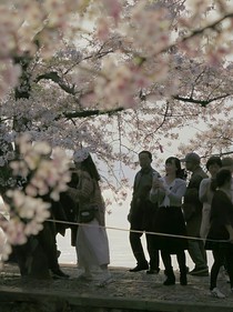 星學院之心動序章